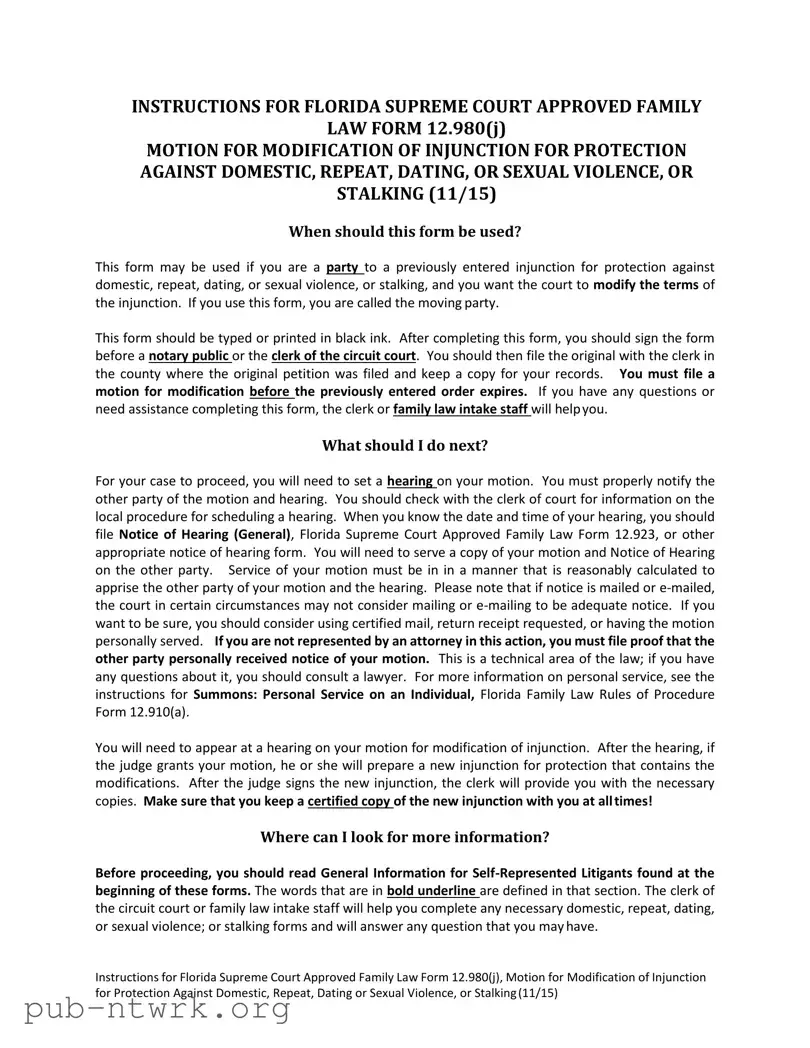 Blank Florida Injunction PDF Form