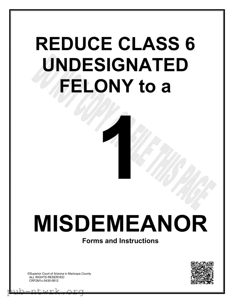 Blank Arizona Class 6 Undesignated Felony PDF Form