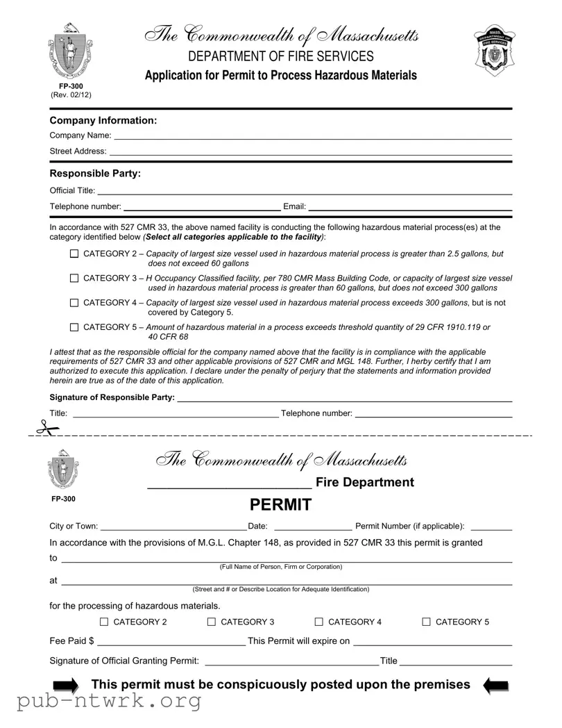 Blank Fp 300 Massachusetts PDF Form