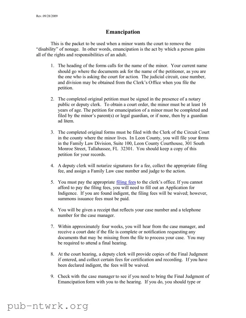 Blank Florida Petition Emancipation PDF Form