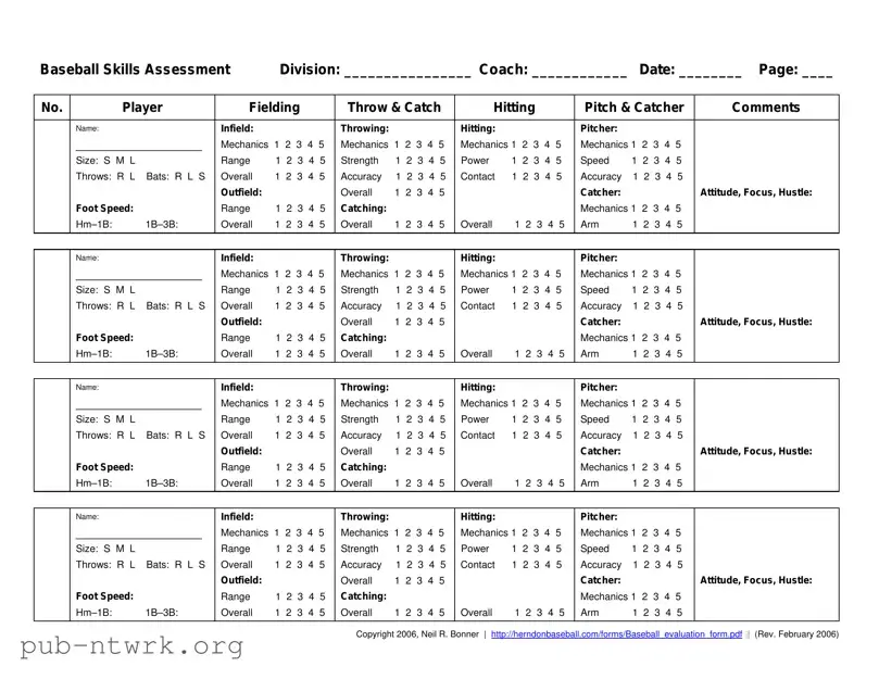 Blank Baseball Assessment PDF Form