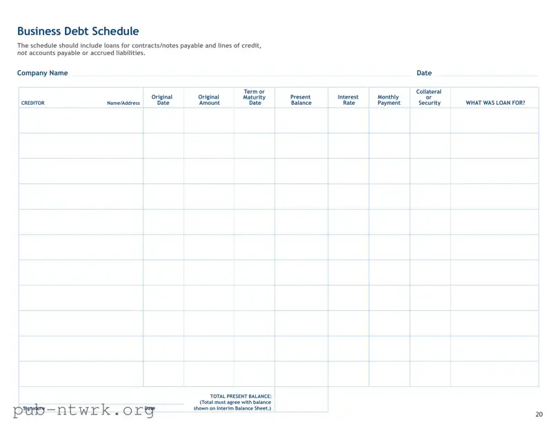 Blank Business Debt Schedule PDF Form