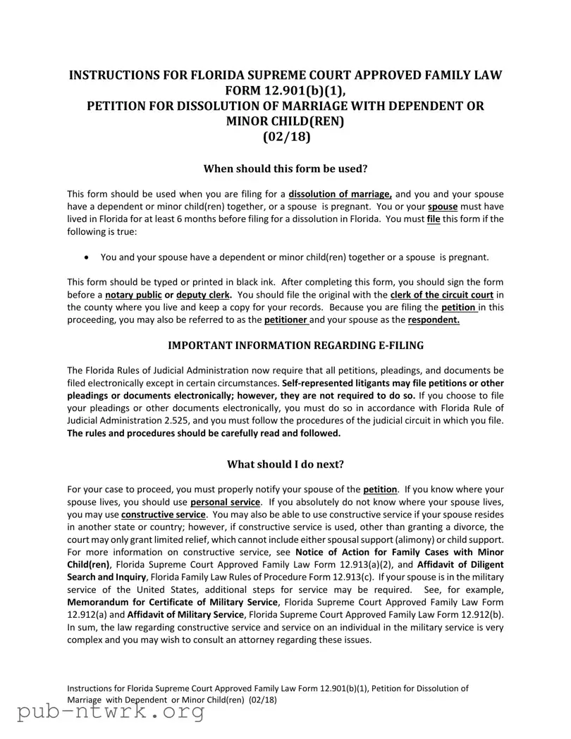 Blank Florida Divorce Decree PDF Form