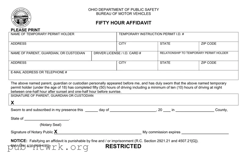Blank Driving Fifty Hour Affidavit PDF Form