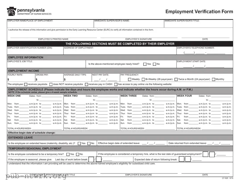 Blank Ccis Employment Verification PDF Form