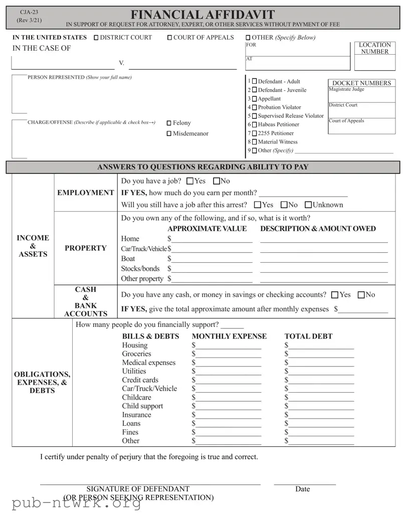 Blank Financial Affidavit CJA-23 PDF Form