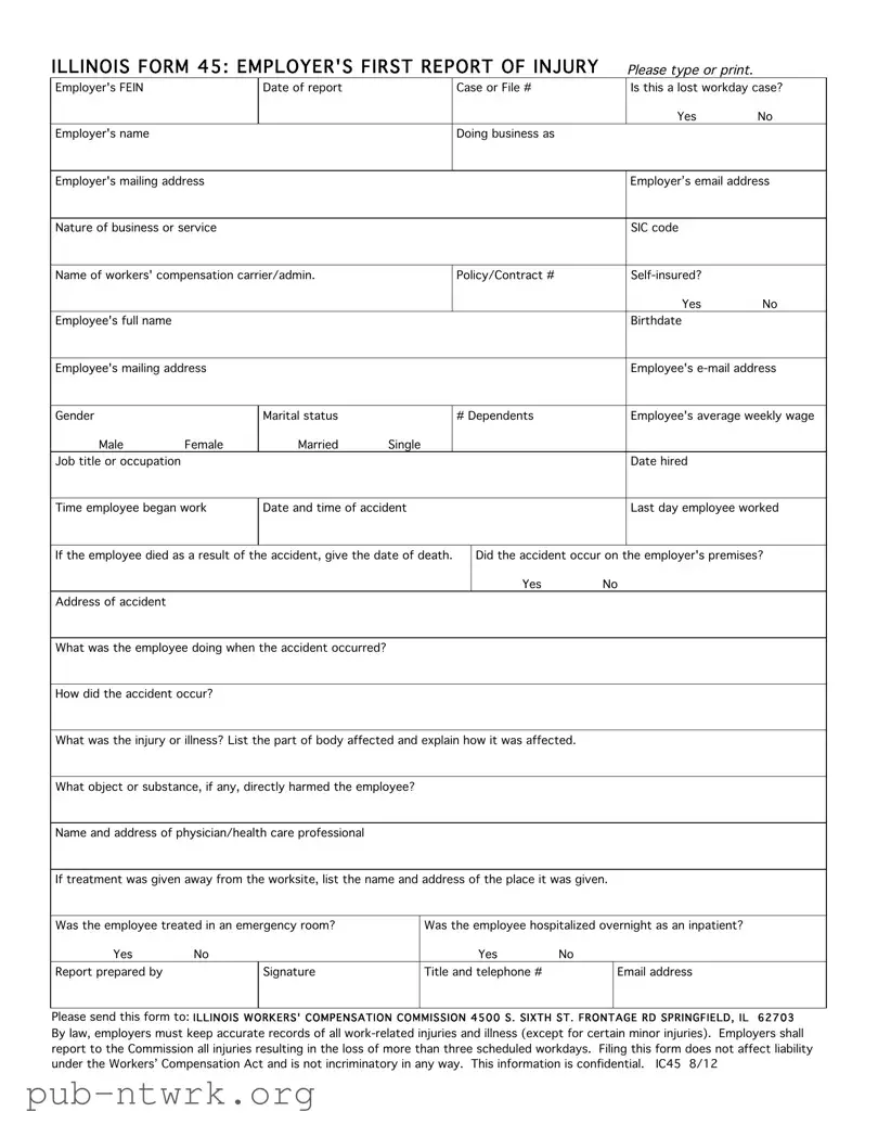 Blank Illinois 45 PDF Form