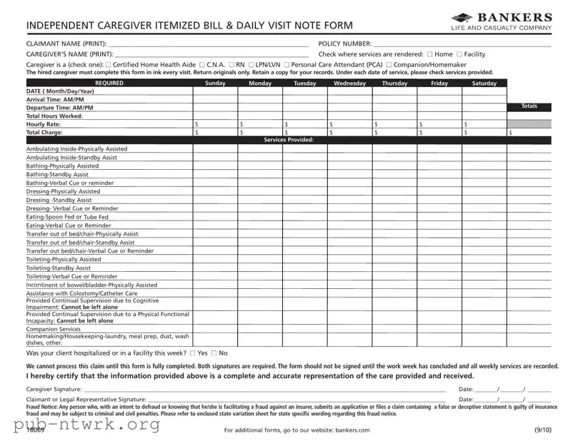 Blank Caregiver Daily Log PDF Form