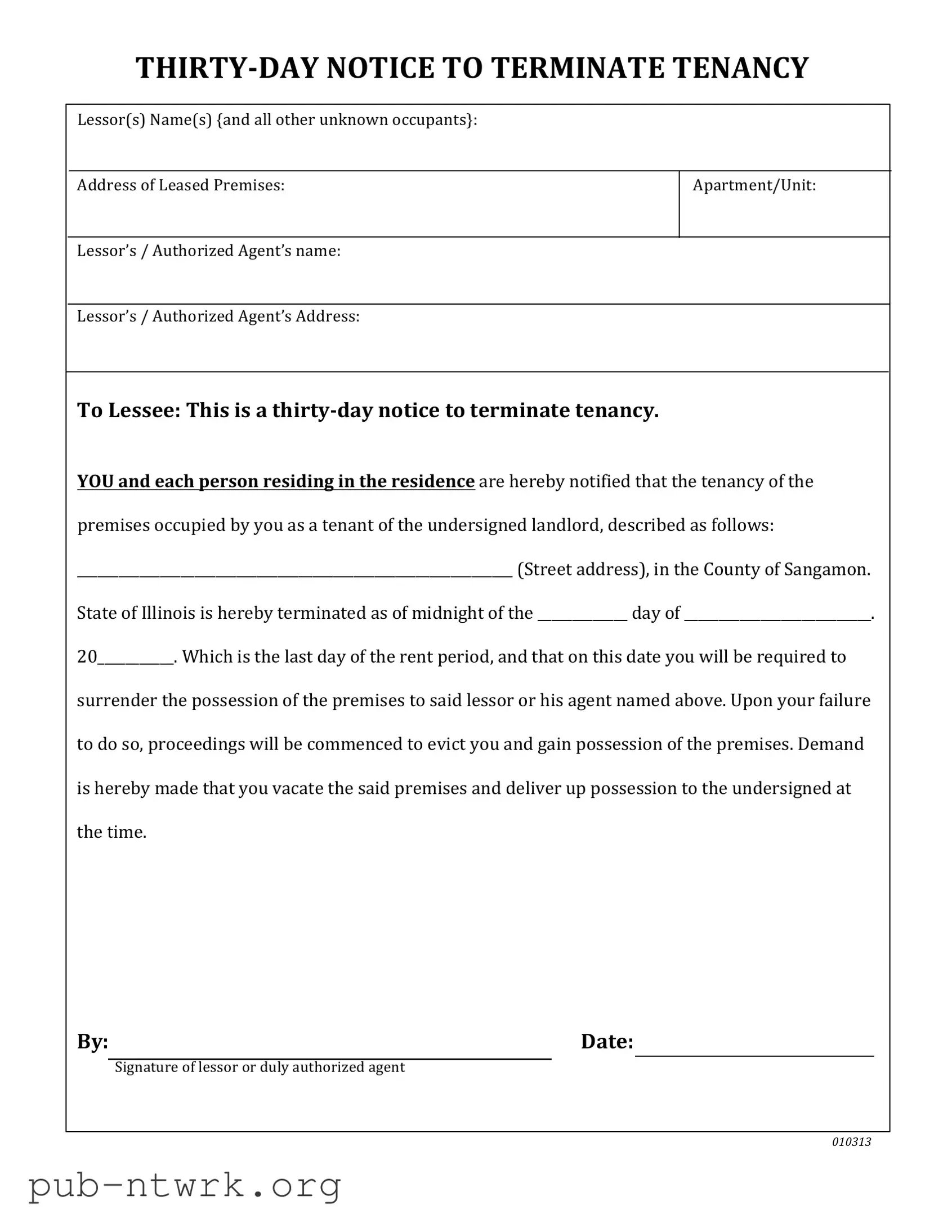 Blank Illinois Vacate PDF Form
