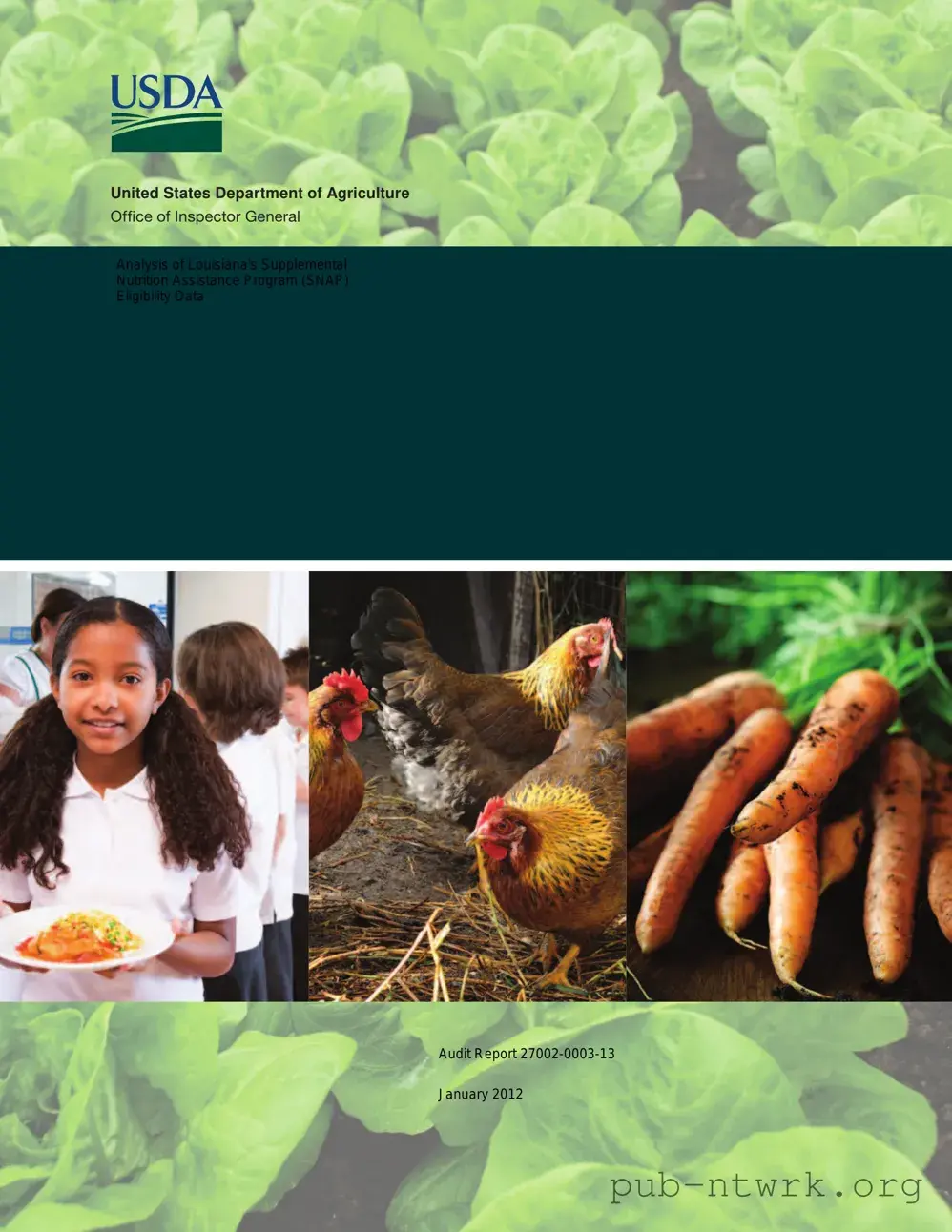 Blank Snap Louisiana PDF Form