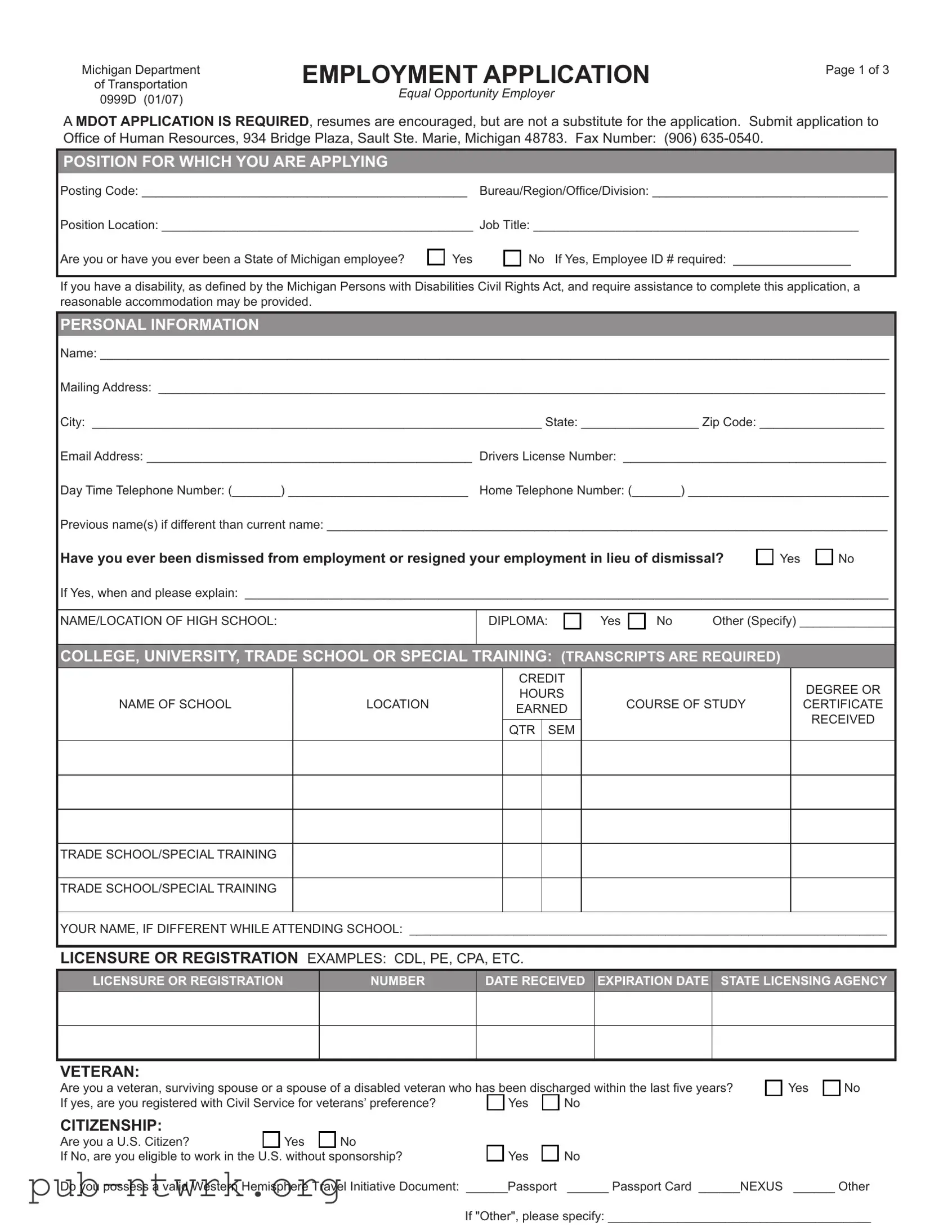 Blank Michigan 0999D PDF Form