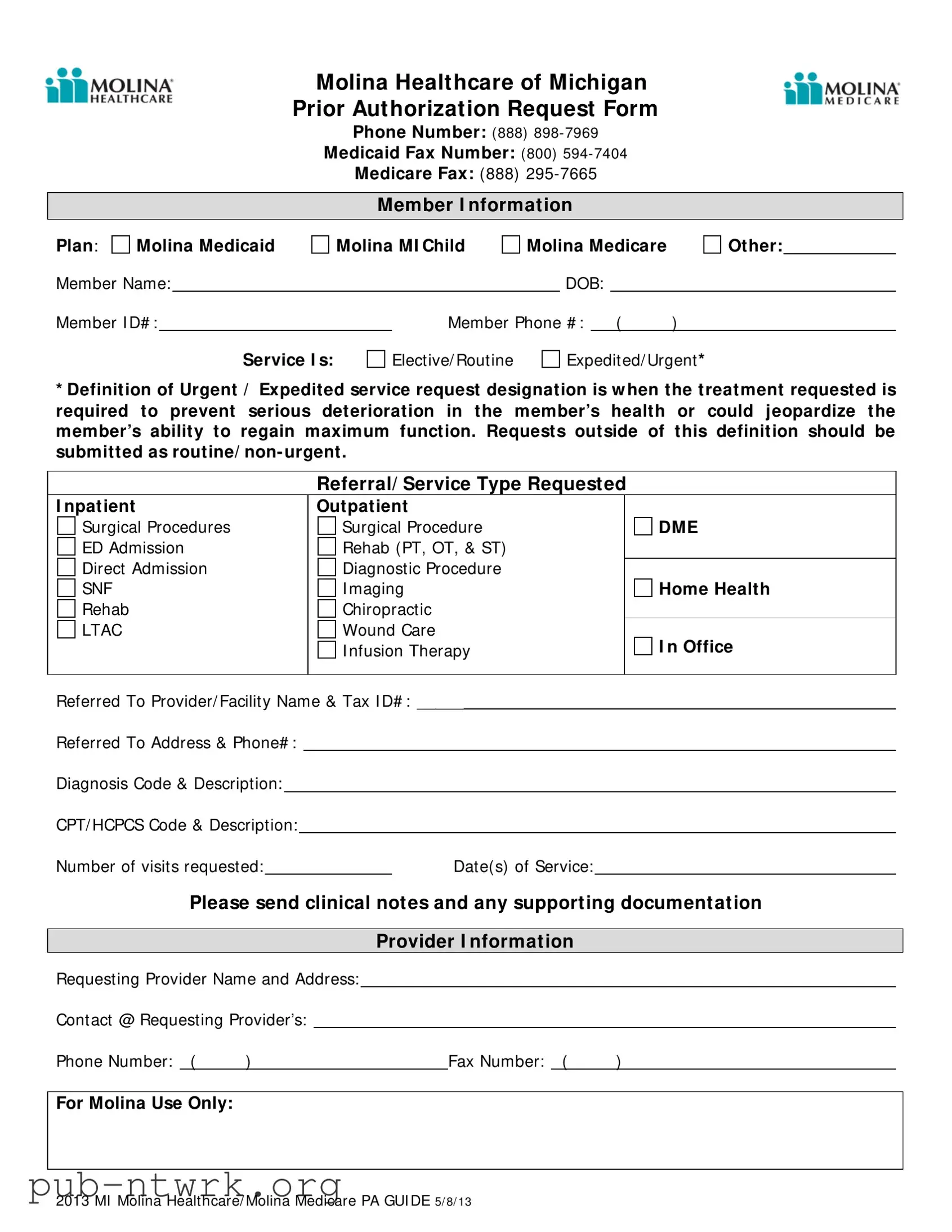 Blank Michigan Molina Prior Authorization PDF Form
