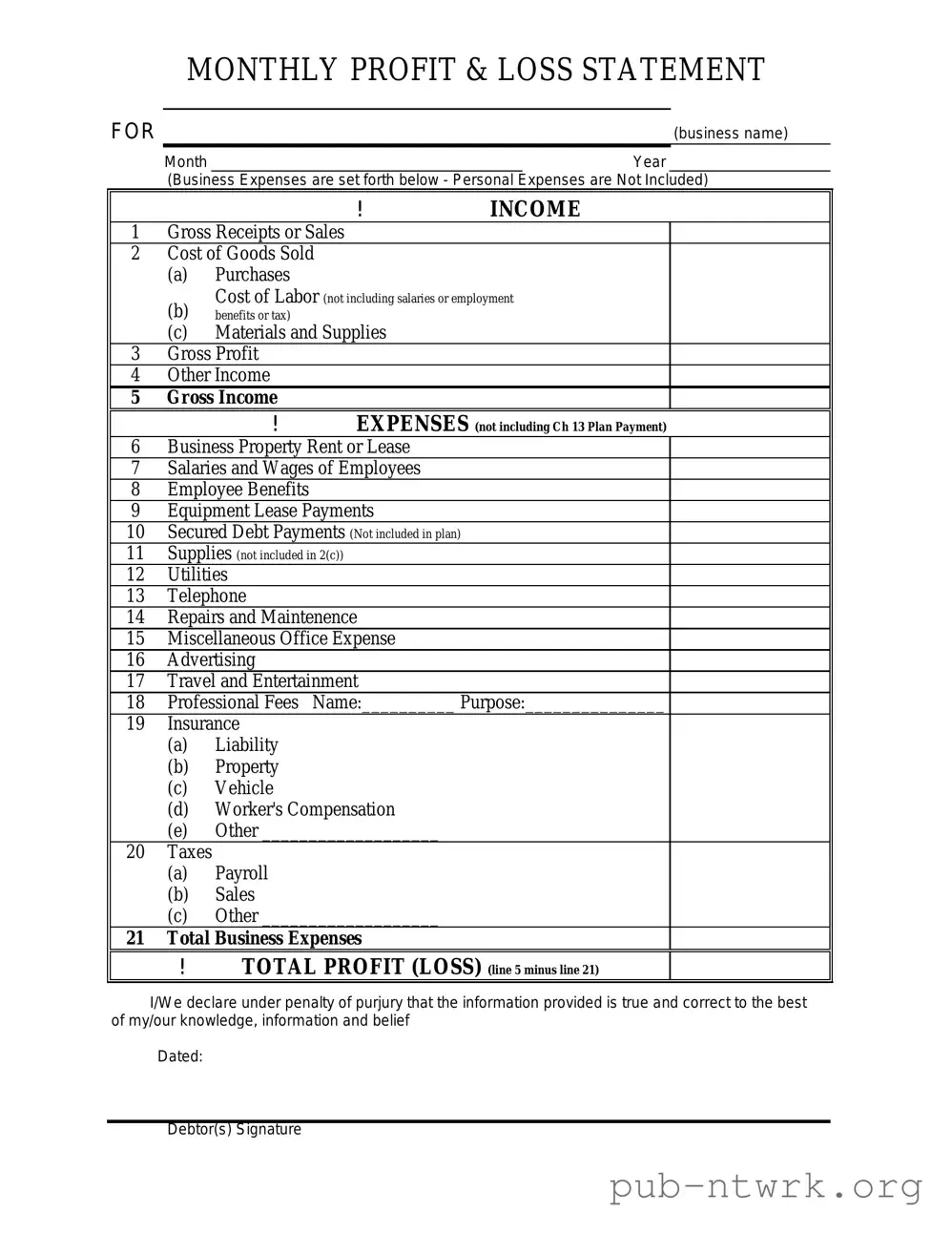 Blank Profit And Loss PDF Form