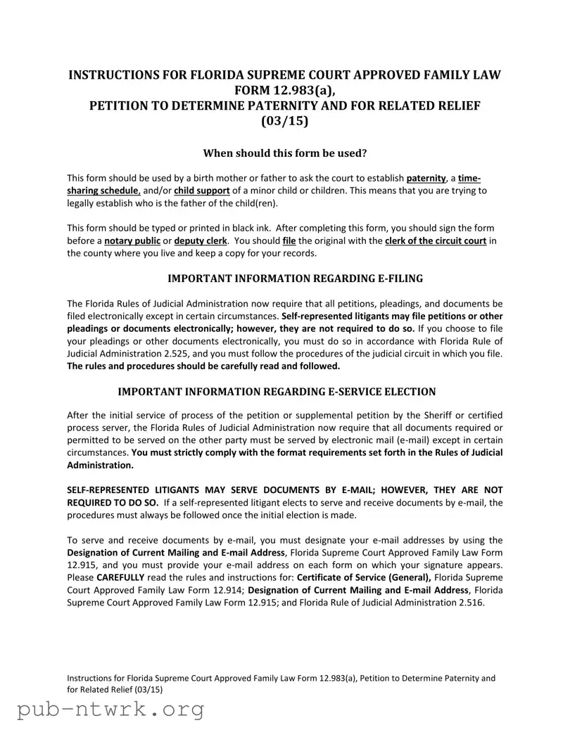 Blank Florida Petitioner PDF Form