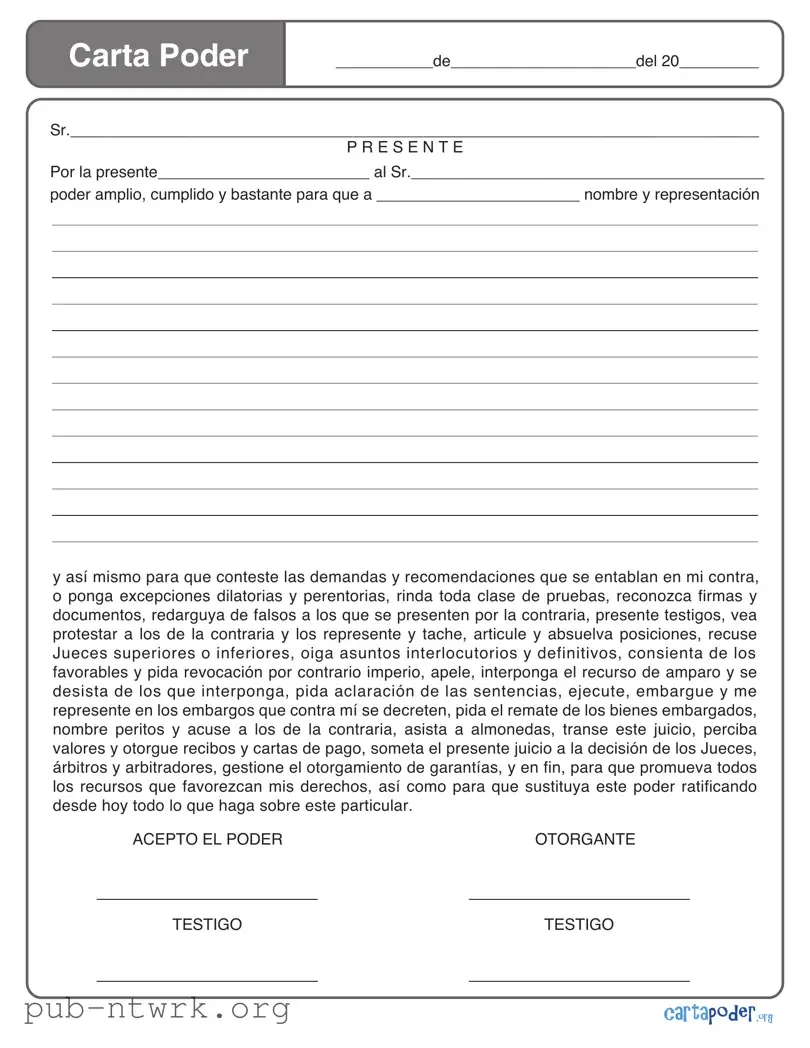 Blank Carta Poder PDF Form