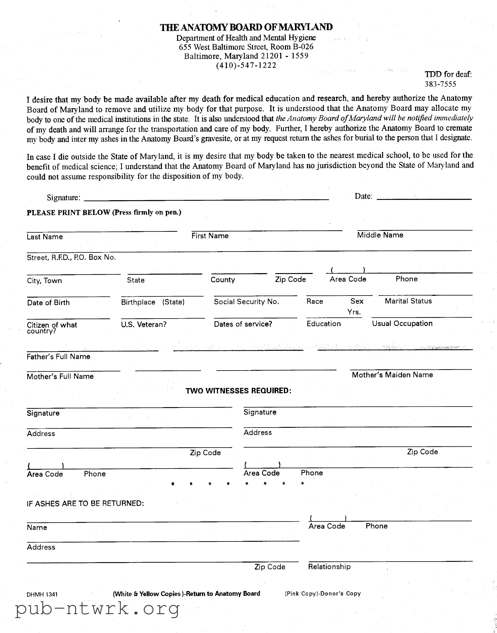 Blank Maryland Anatomy PDF Form