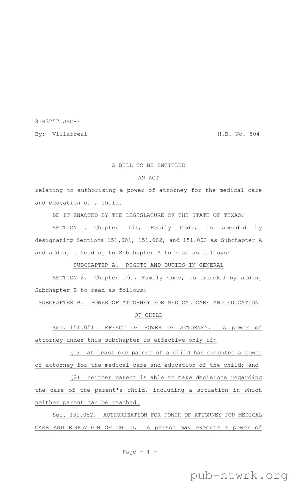 Blank Texas Child Power of Attorney PDF Form