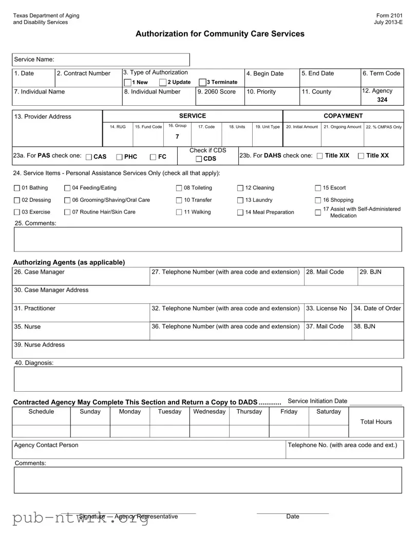 Blank 2101 Texas PDF Form