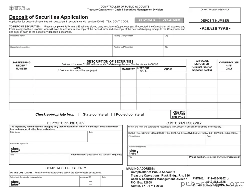 Blank Texas 00 132 PDF Form